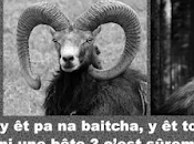 Comment porte patois savoyard