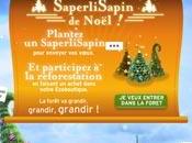 Redoute SaperliSapin Noël