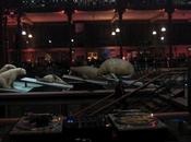 DJing party animals MNHN