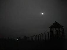 Nuit brouillard