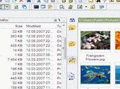 Télécharger freeCommander